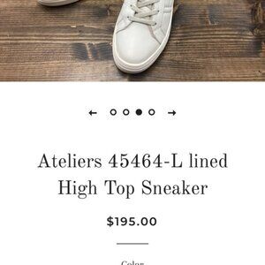 Atelier High Top Sneaker Size 9